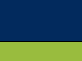 Azul Marino/Verde Neón