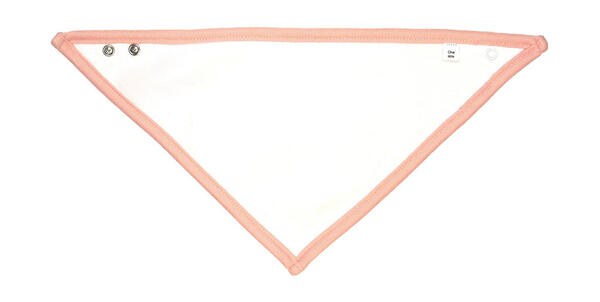 BabyBugz BZ23 - Bandana Bib