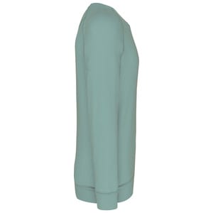 Kariban K480 - Sudadera Orgánica para Hombre con Mangas Raglán