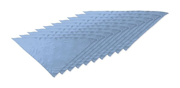 Pack de 10 Valento PNVAFIE - Pañuelo triangular FIESTA