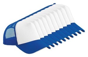 Azul Real Brillante / Blanco